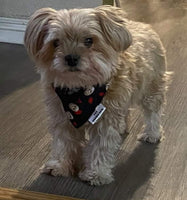 Horror Pups Bandana - Jason