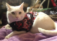 Horror Pups Tee - Mama's Boy
